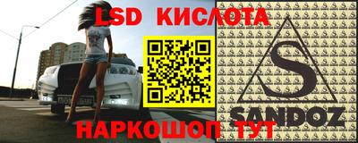 шишки Заводоуковск