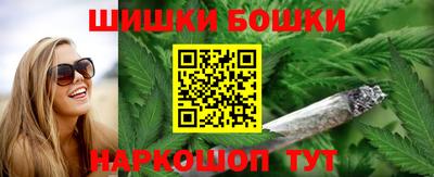 шишки Заводоуковск