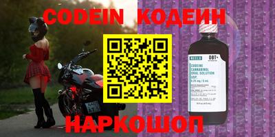 шишки Заводоуковск